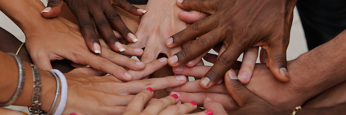 Diversity