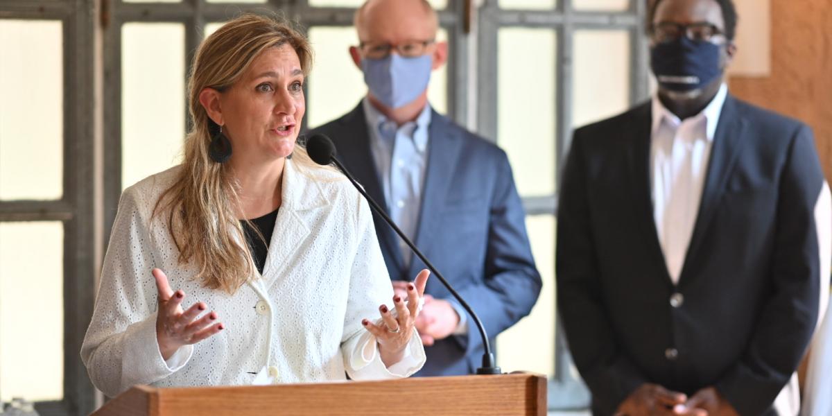 Lynda Schueler at Cook County press conference