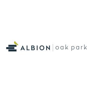 Albion Logo