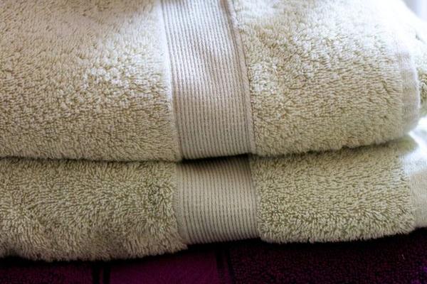 Housing Forward needs towels for our Support Center