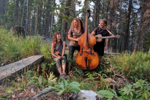 Come see us as Thursday Night Out in Oak Park Becomes Folk Park Thursday Night Out